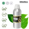 Betel Forest / Sirih Hutan Essential Oil Pure 100% | Piper Aduncum / Sirih Hutan